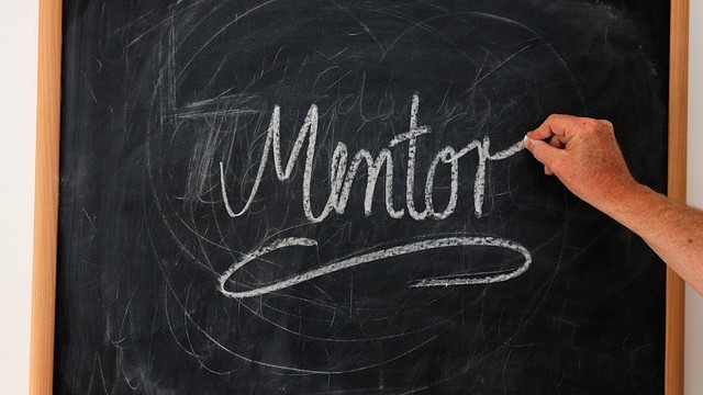 auditor mentoring