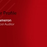 auditor profile