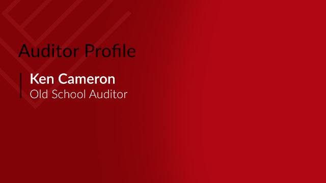 auditor profile
