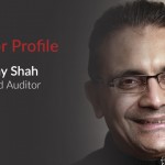 Auditor Profile