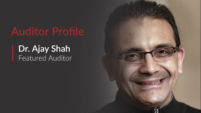 Auditor Profile