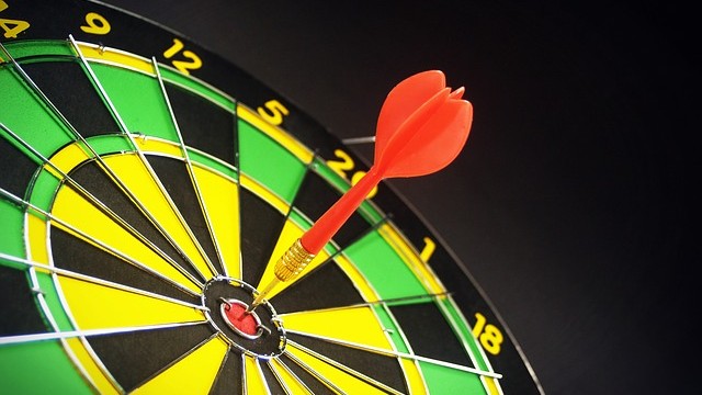 audit program objectives