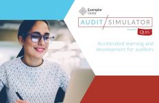 Audit Simulator