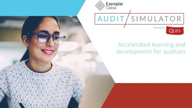 Audit Simulator