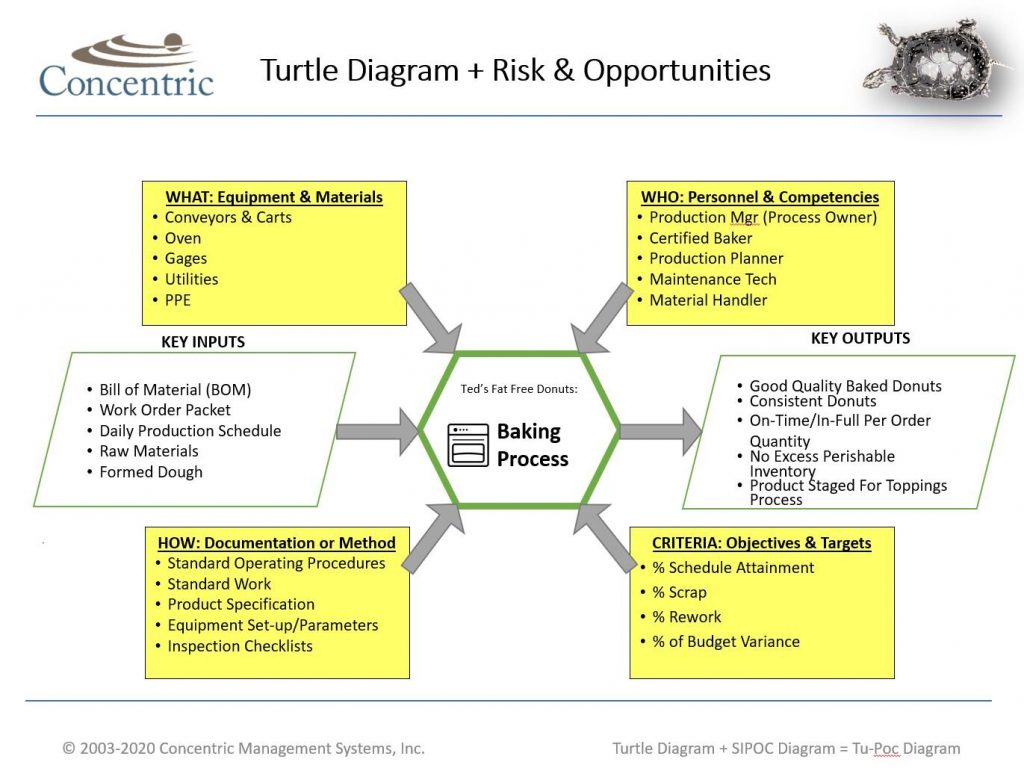 Turtle+Diagram+Example+(11.12.19) - The Auditor