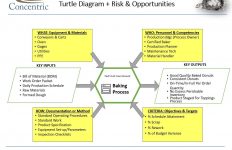 turtle diagram risk opportunities