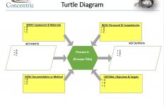 turtle diagram